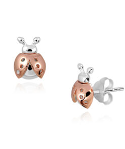 Srebrne kolczyki SSS6166