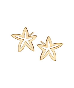 srebrne pozłacane kolczyki rozgwiazdy