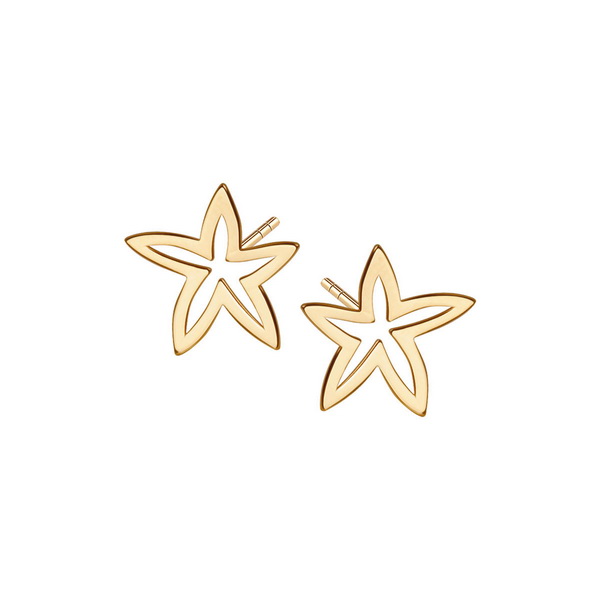 srebrne pozłacane kolczyki rozgwiazdy