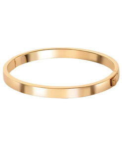 Srebrna pozłacana bransoletka sztywna typu bangle BSC6468Y